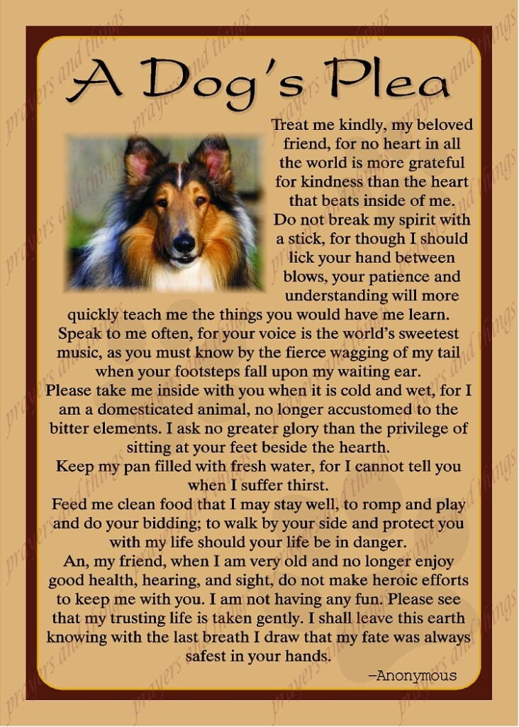 A Dog s Plea Printable Free Printable Templates