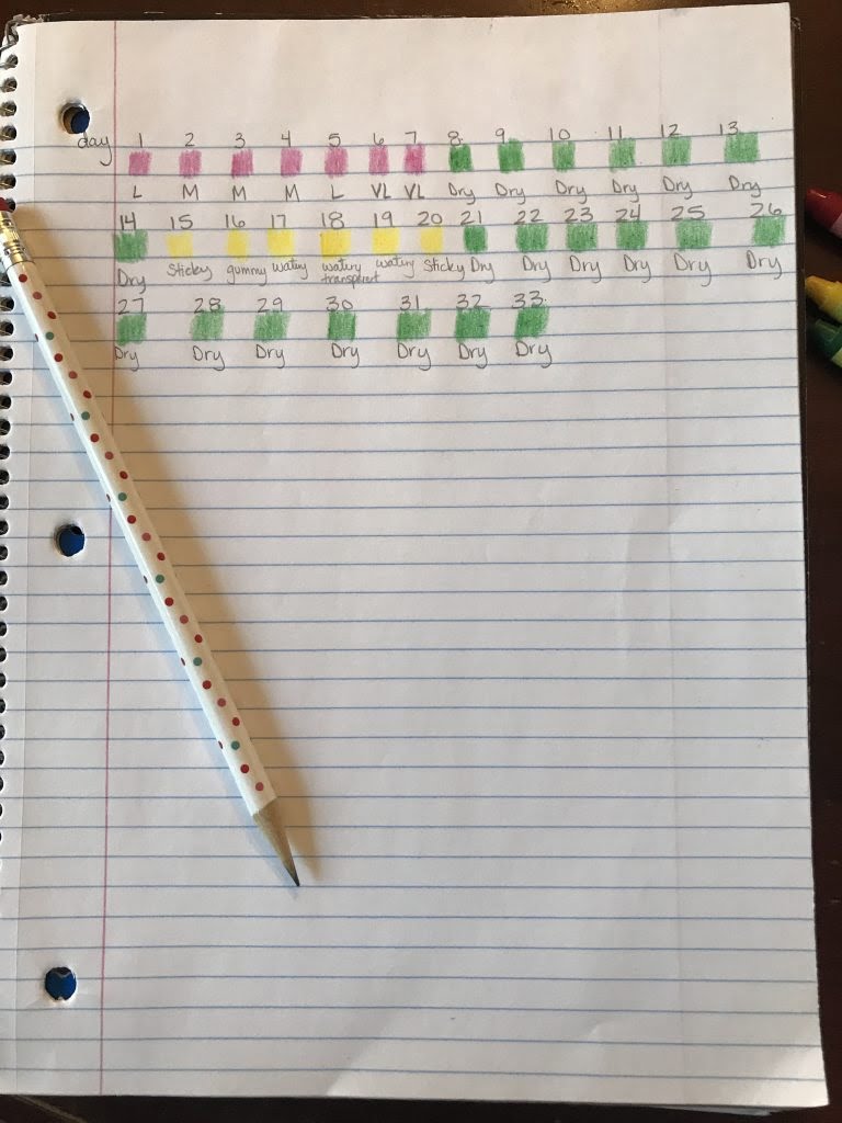 Creighton Model Chart Printable Free Printable Templates