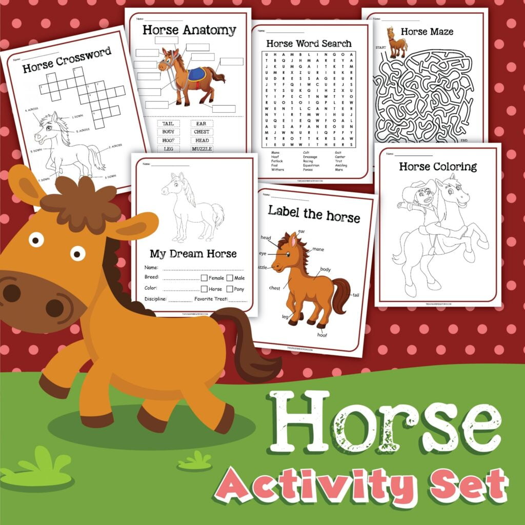Printable Horse Care Worksheets