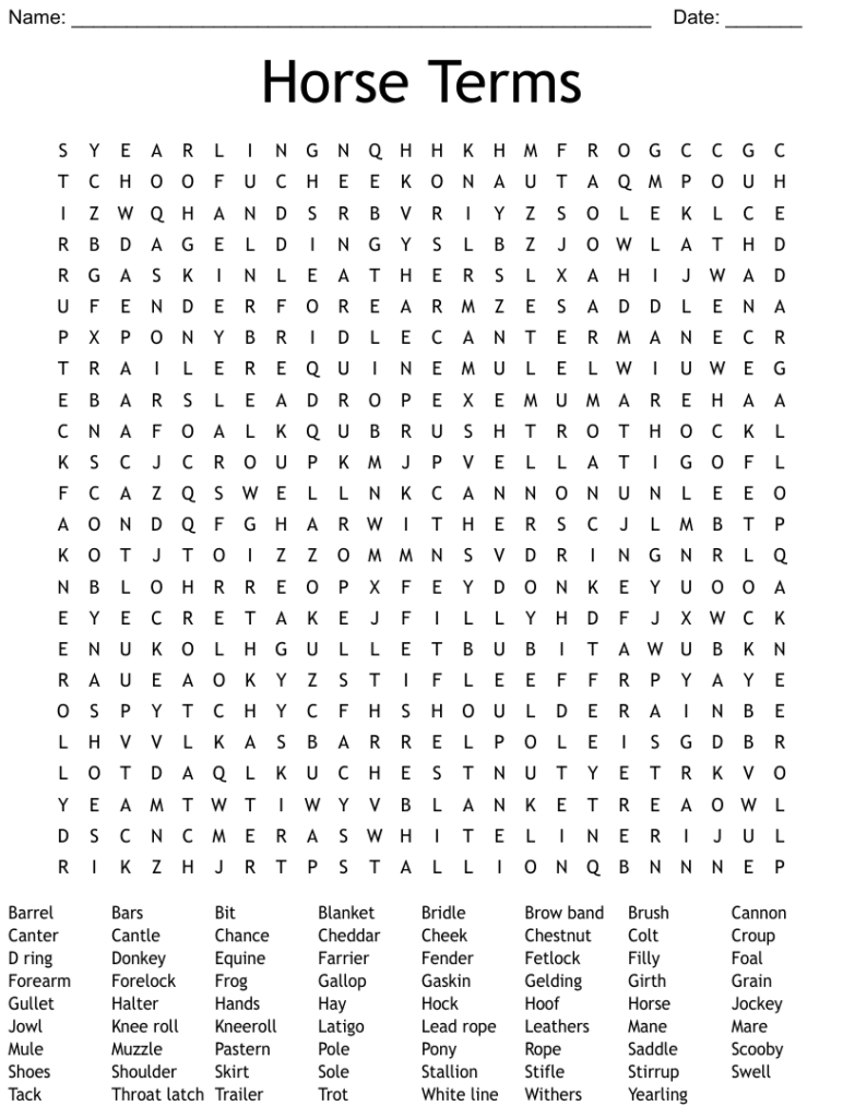 Horse Terms Word Search WordMint
