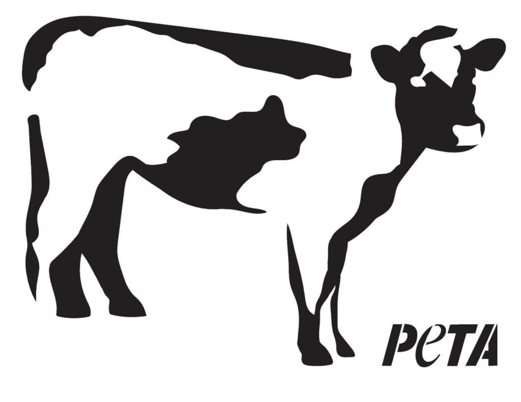 Make An Animal Rights Jack o Lantern With PETA s Pumpkin Stencils PETA