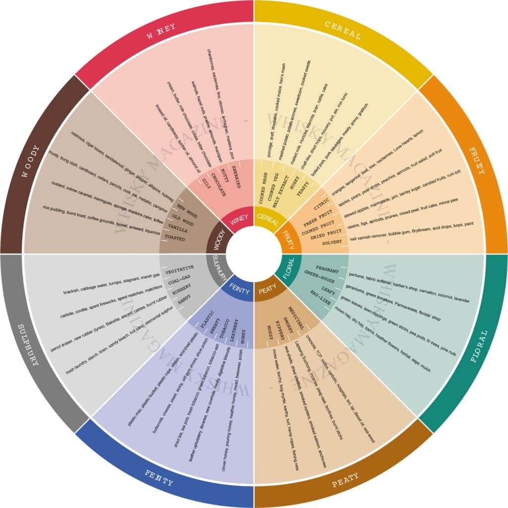Mark Dredge Beer A New Beer Flavour Wheel