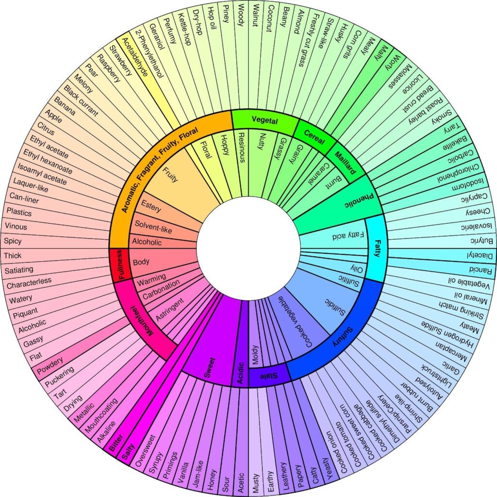 Mark Dredge Beer A New Beer Flavour Wheel