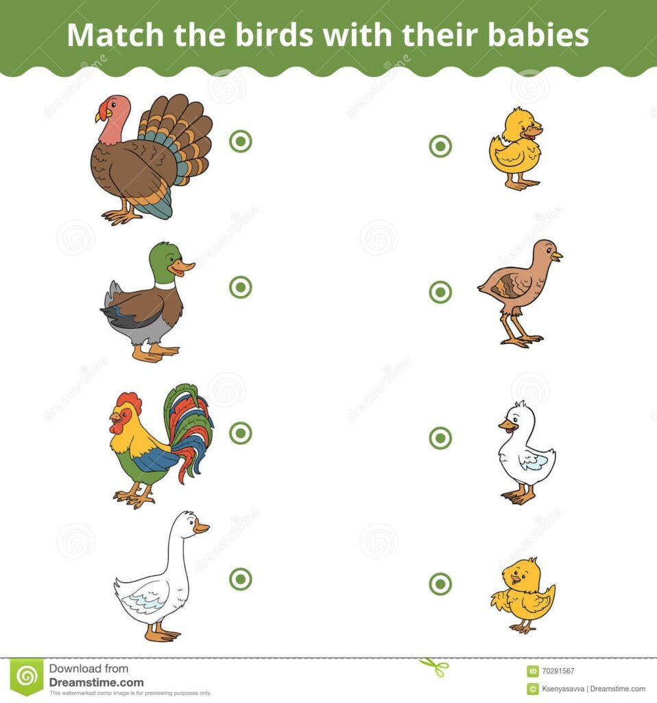 Matching Game For Children Farm Birds And Babies Stock Vector Illustration Of Learning Drawing 70281567