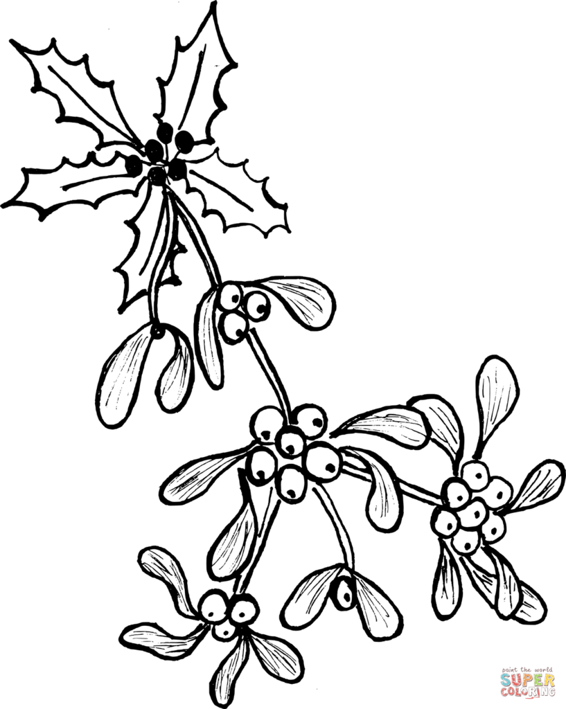 Mistletoe Coloring Page Free Printable Coloring Pages