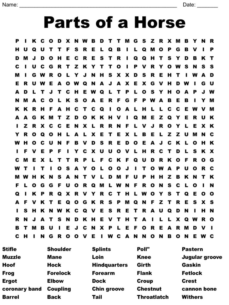 Parts Of A Horse Word Search WordMint