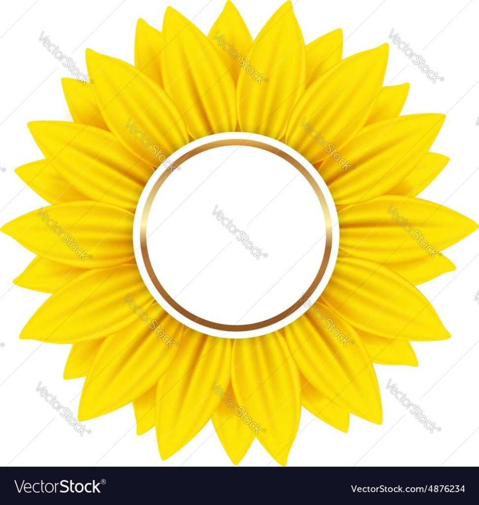 Round Banner With Yellow Sunflower Royalty Free Vector Image