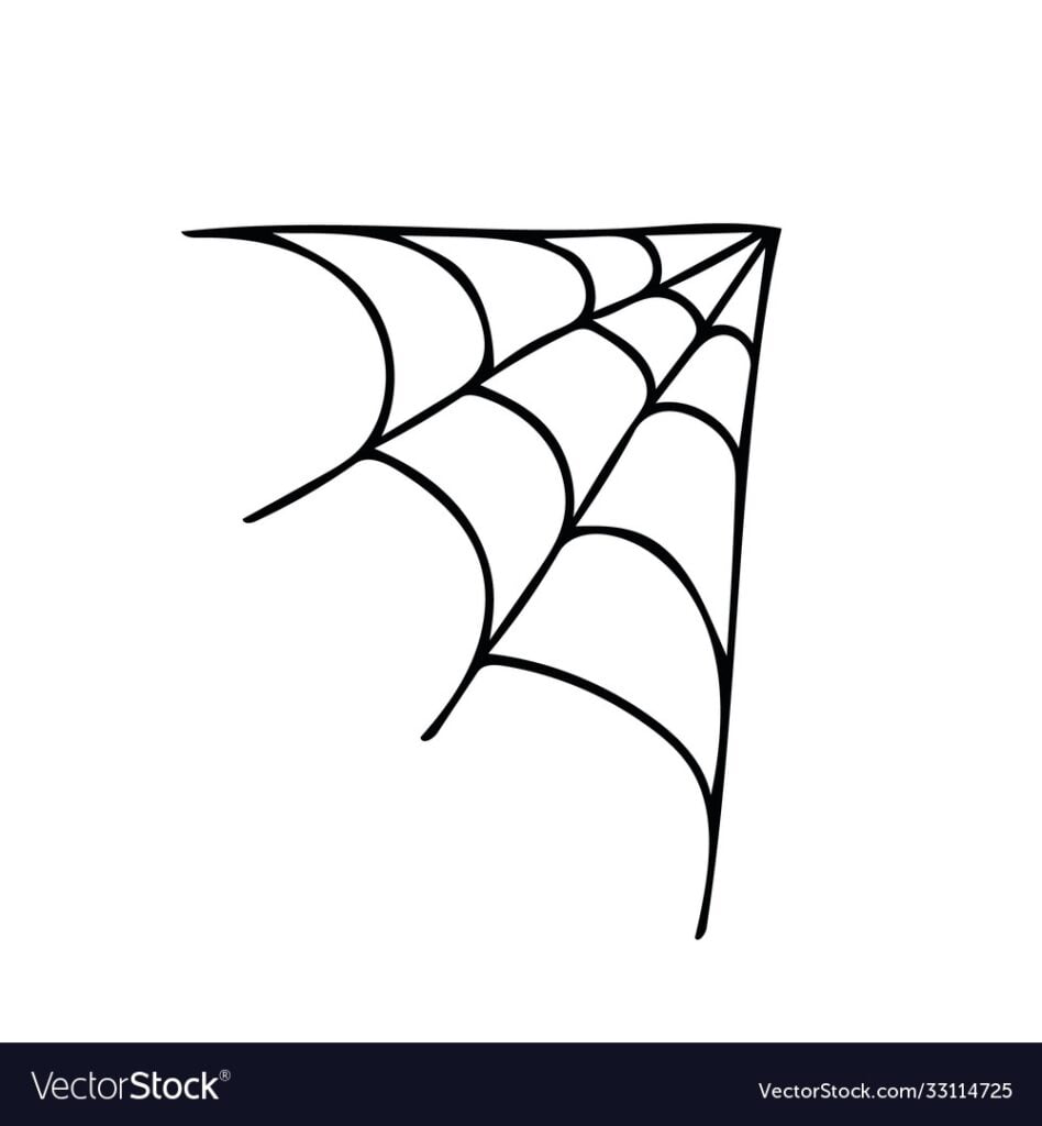 Spider Web Corner Hand Drawn In Doodle Style Vector Image