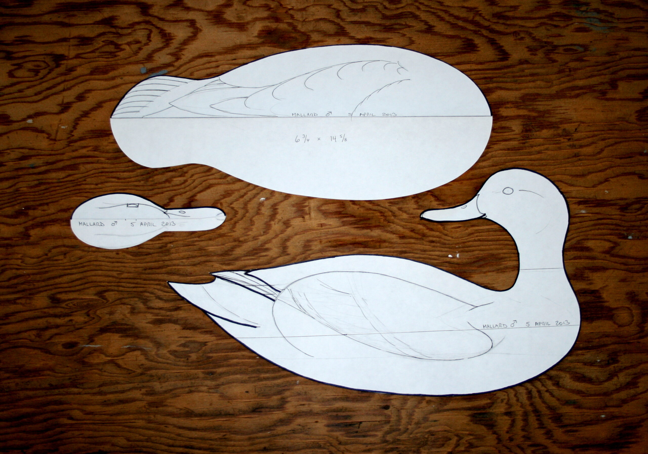 Carving A Mallard Head Tutorial Steven Jay Sanford
