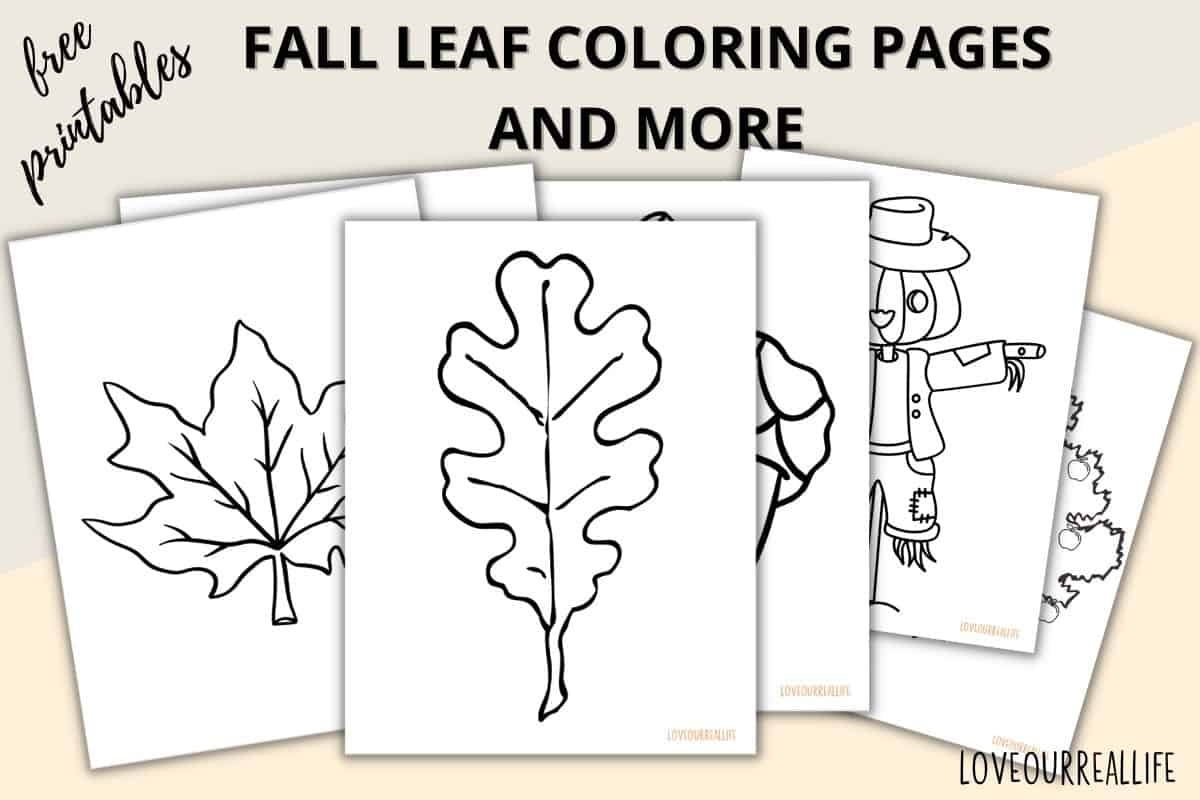 Free Printable Oak Leaf Templates